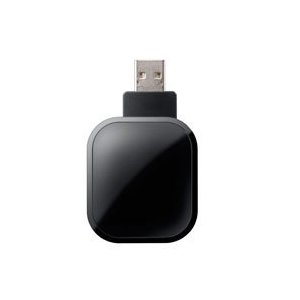 What is the Viera wireless adapter used for?